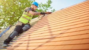 Best Roof Maintenance and Cleaning  in Somerdale, NJ